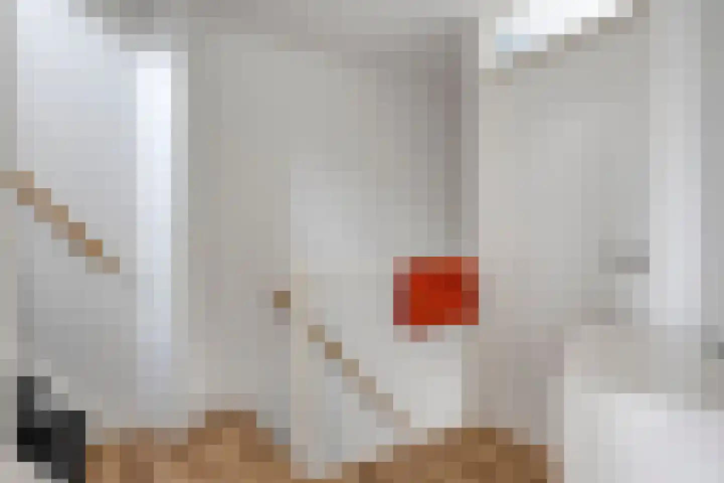 Oijensingel 27 Tilburg thumbnail 20