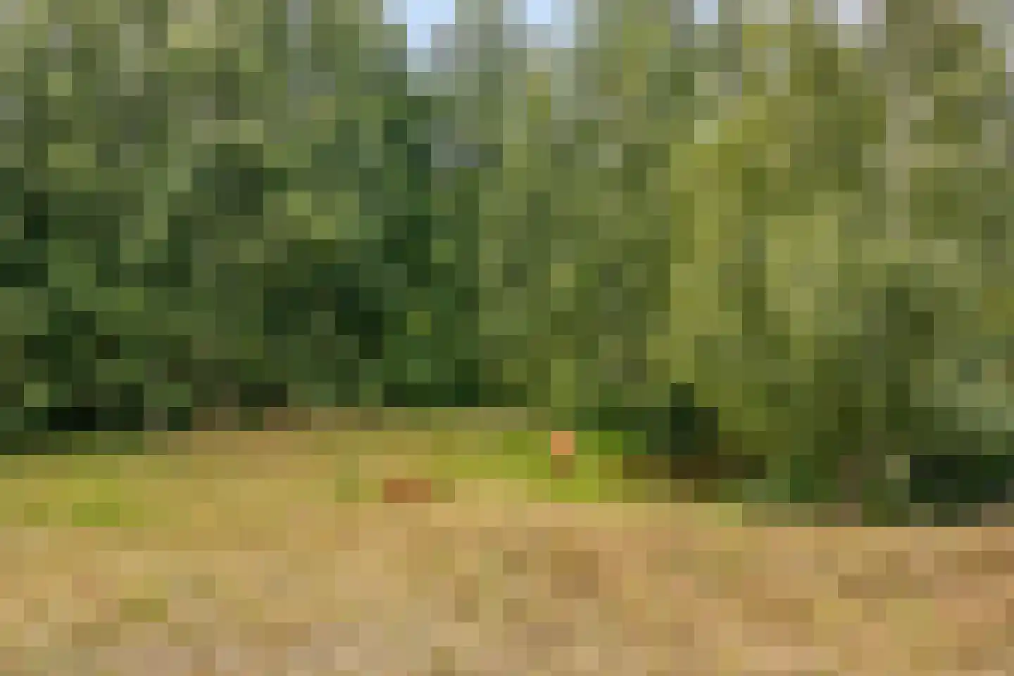 Oijensingel 27 Tilburg thumbnail 39