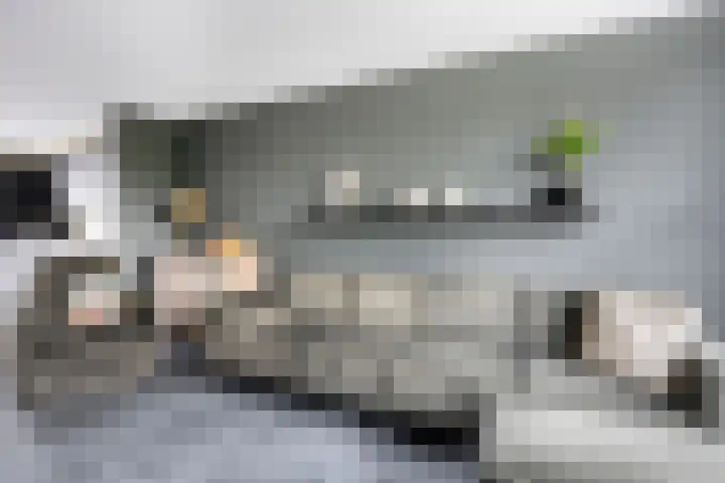 Oijensingel 27 Tilburg thumbnail 6