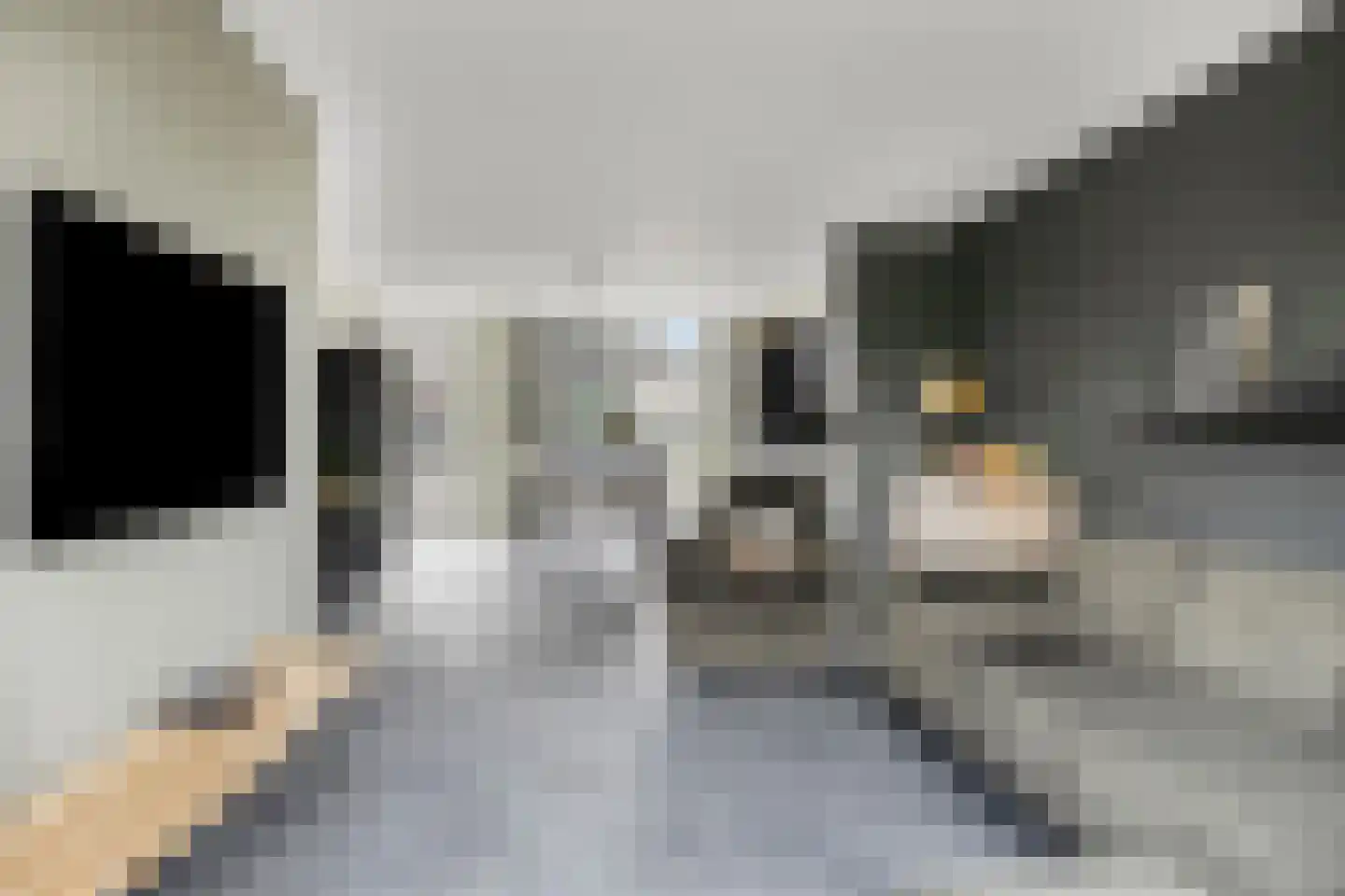 Oijensingel 27 Tilburg thumbnail 7