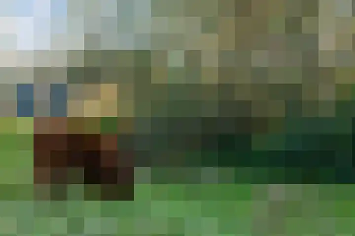 Oijensingel 41 Tilburg thumbnail 39