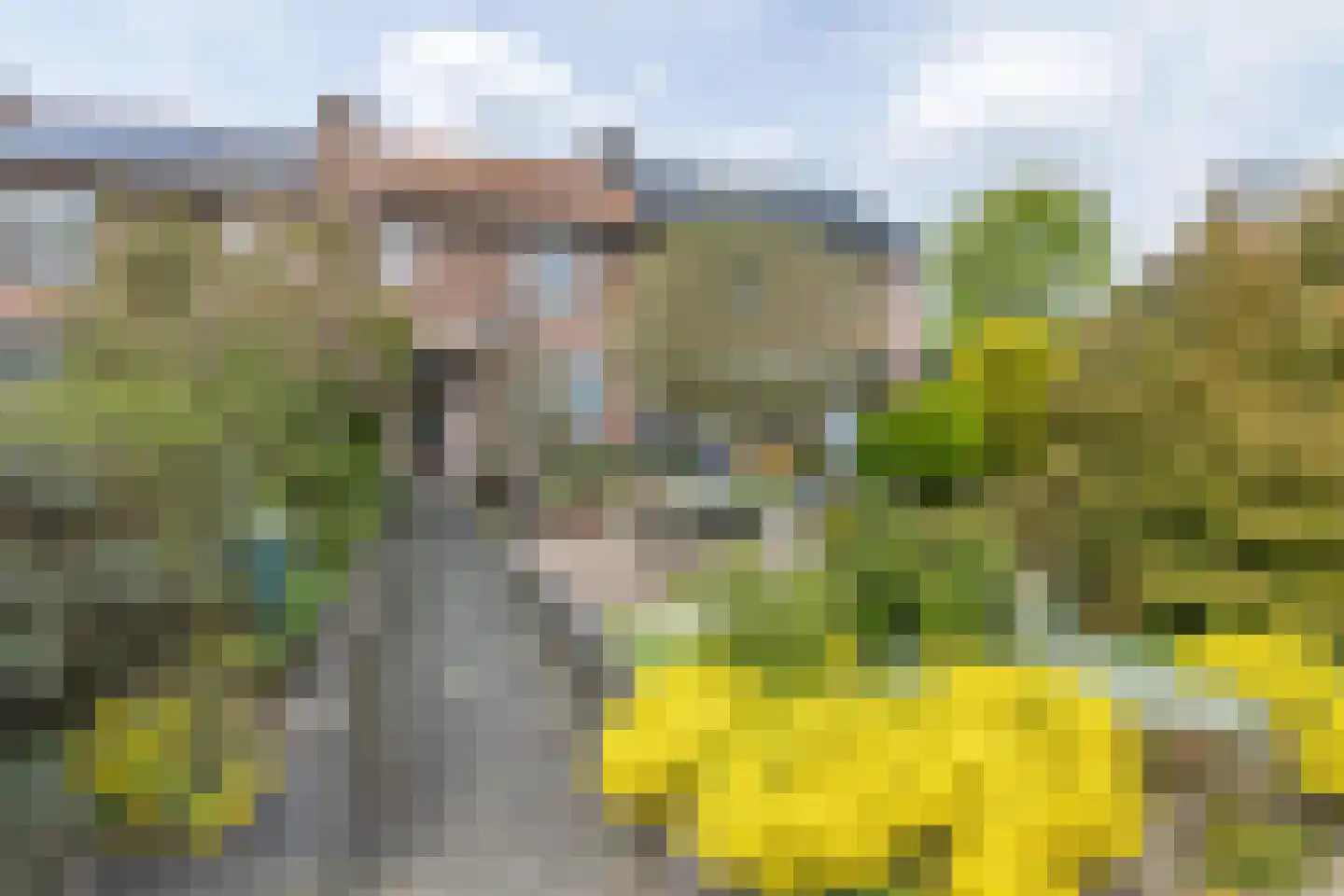 Oirsbekerweg 16 Oirsbeek thumbnail 28
