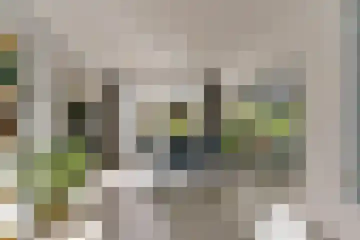 Oirschotlaan 17 Zeist thumbnail 12
