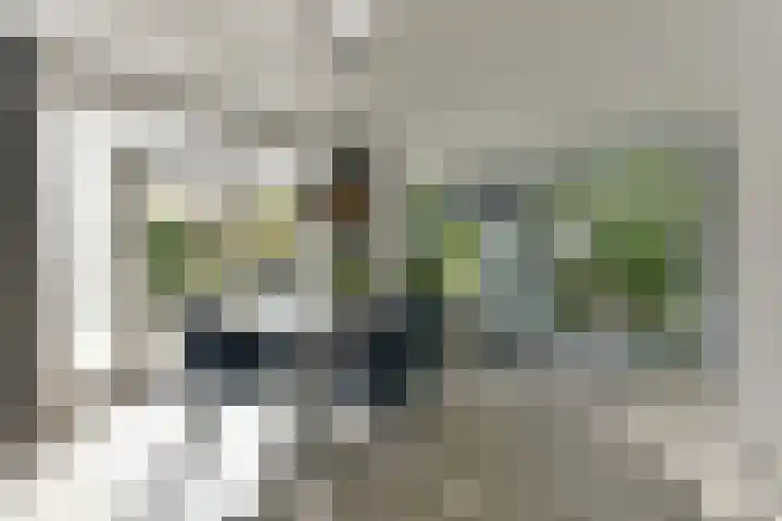 Oirschotlaan 17 Zeist thumbnail 13