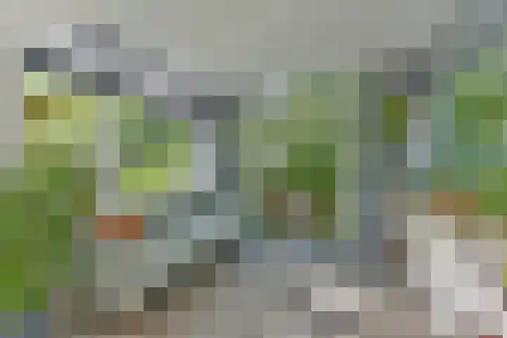 Oirschotlaan 17 Zeist thumbnail 15