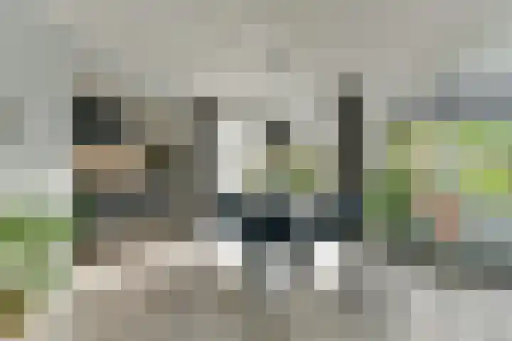 Oirschotlaan 17 Zeist thumbnail 18