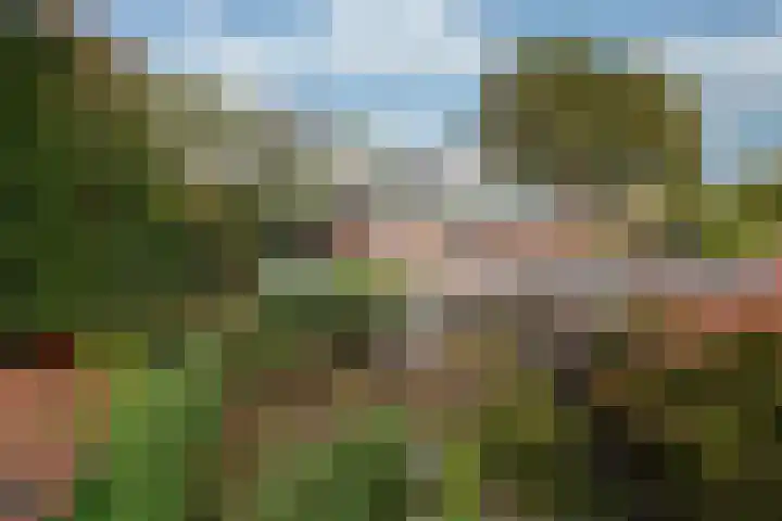 Oirschotlaan 17 Zeist foto 2