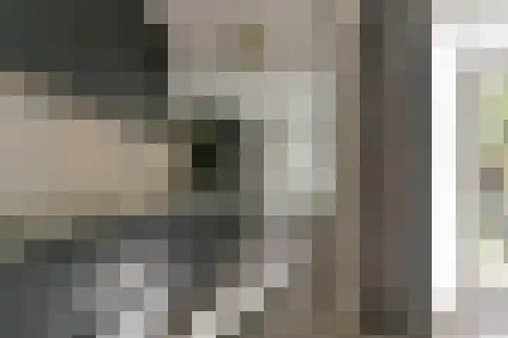 Oirschotlaan 17 Zeist thumbnail 21