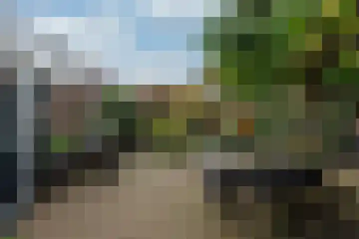 Oirschotlaan 17 Zeist thumbnail 23