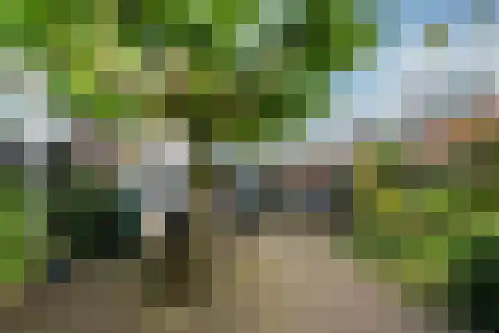 Oirschotlaan 17 Zeist thumbnail 24