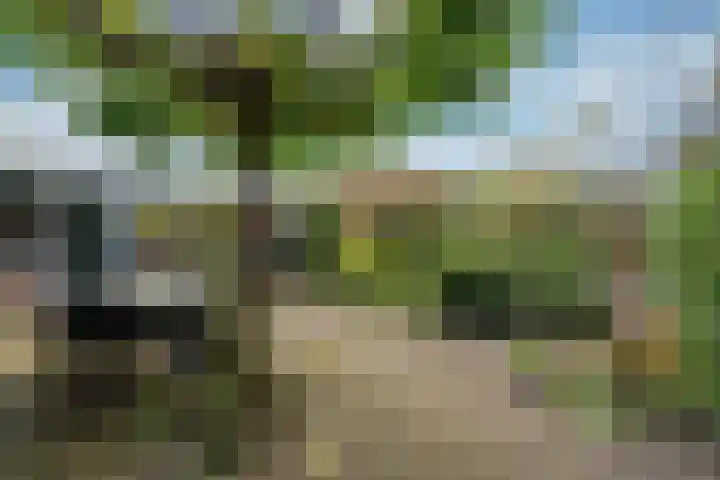 Oirschotlaan 17 Zeist thumbnail 25