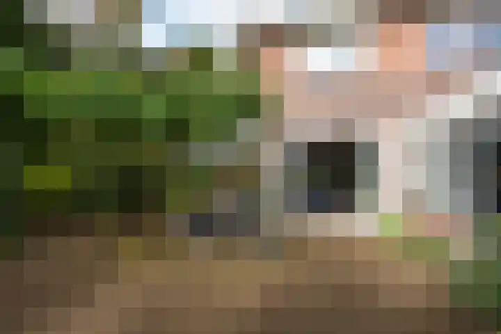 Oirschotlaan 17 Zeist thumbnail 28