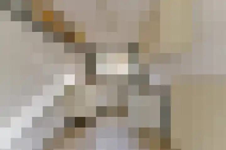 Oirschotlaan 17 Zeist thumbnail 29