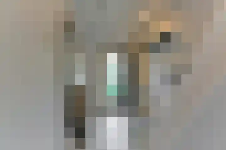 Oirschotlaan 17 Zeist thumbnail 30