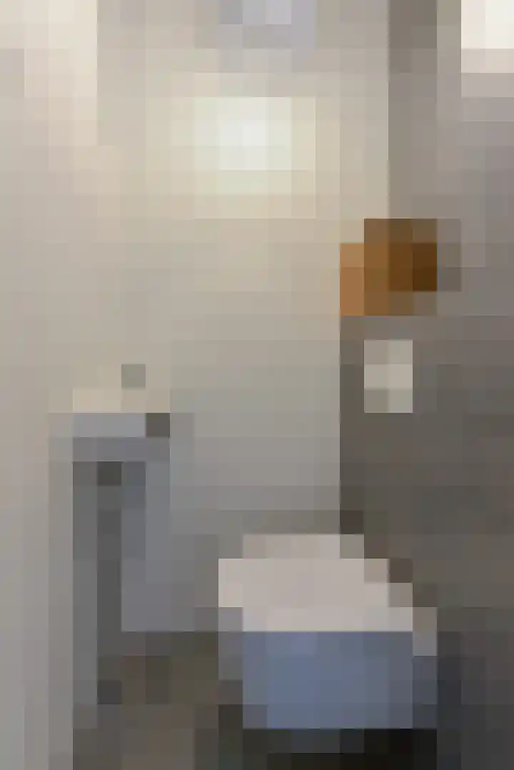 Oirschotlaan 17 Zeist thumbnail 31