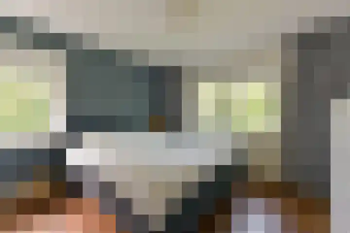 Oirschotlaan 17 Zeist thumbnail 34