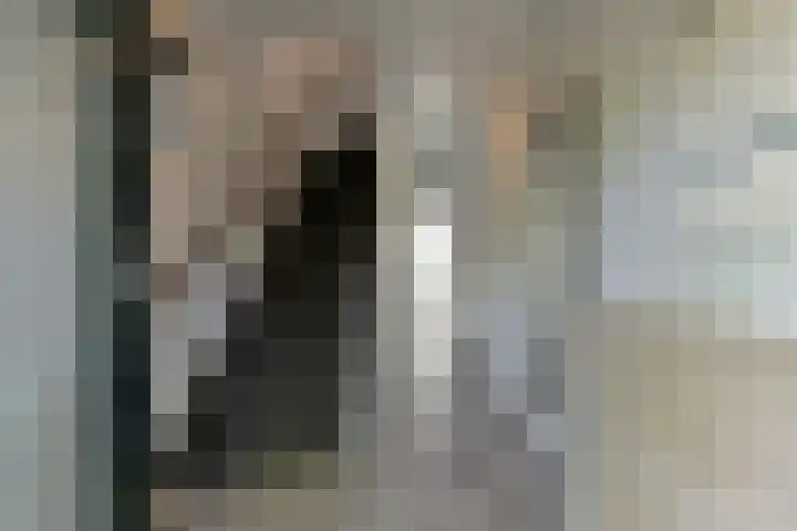 Oirschotlaan 17 Zeist thumbnail 7