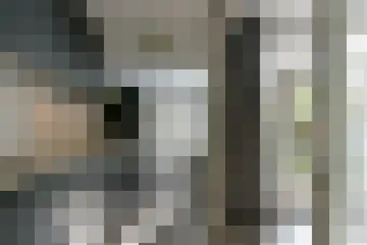 Oirschotlaan 17 Zeist thumbnail 8