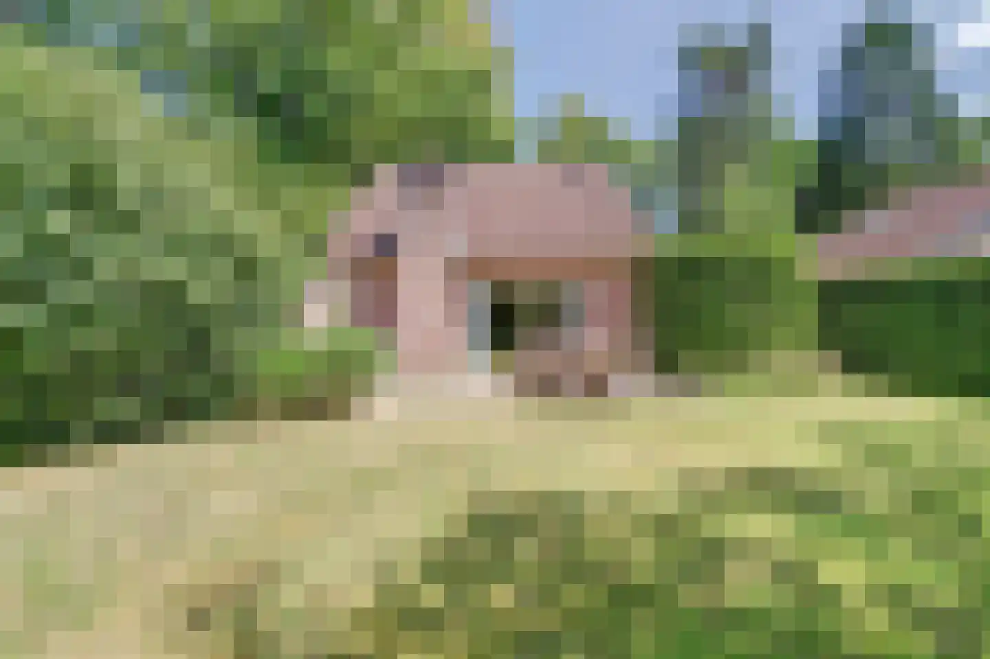 Oirschotsebaan 13 A 30 Oisterwijk thumbnail 32