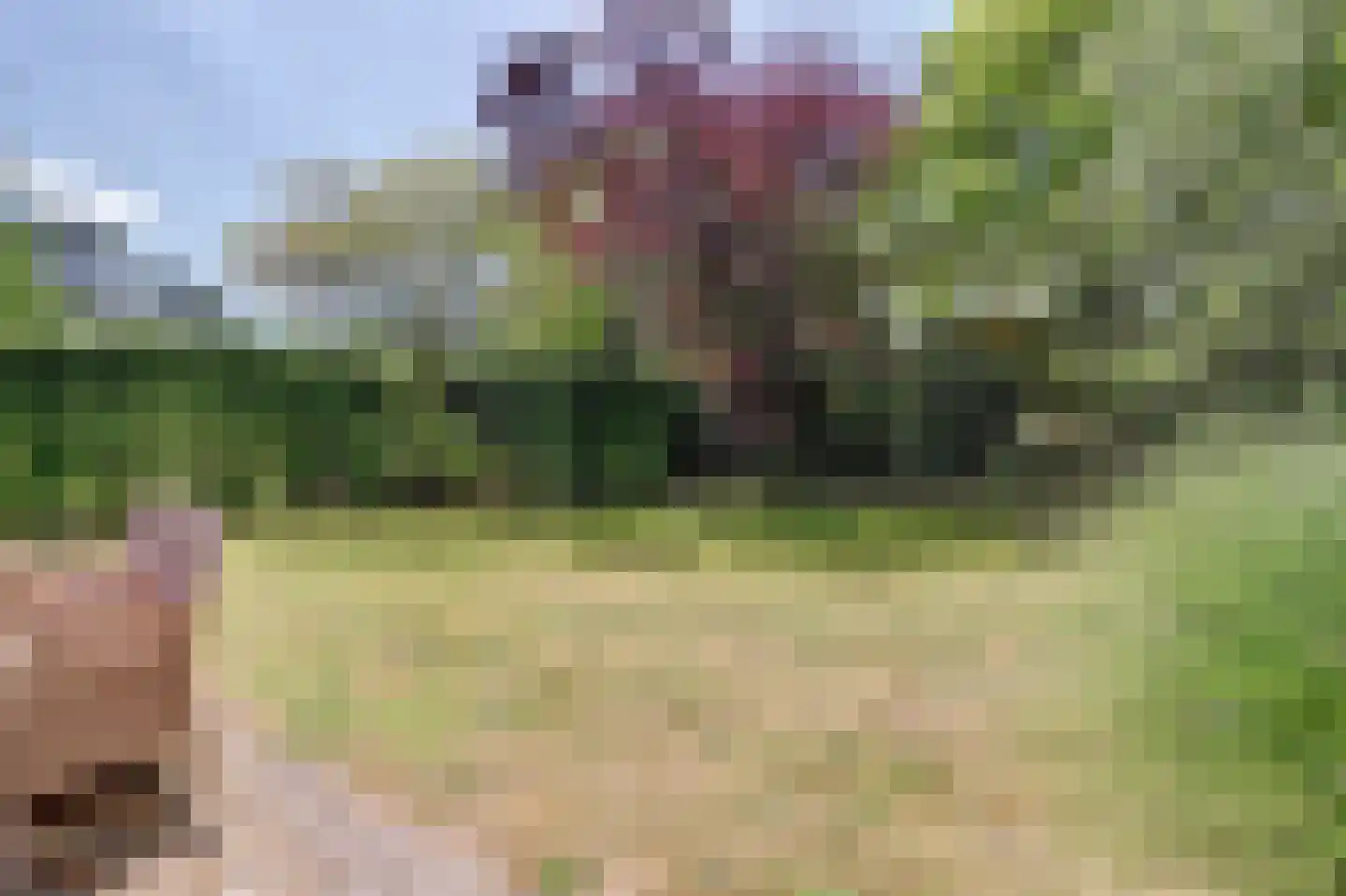 Oirschotsebaan 13 A 30 Oisterwijk thumbnail 33
