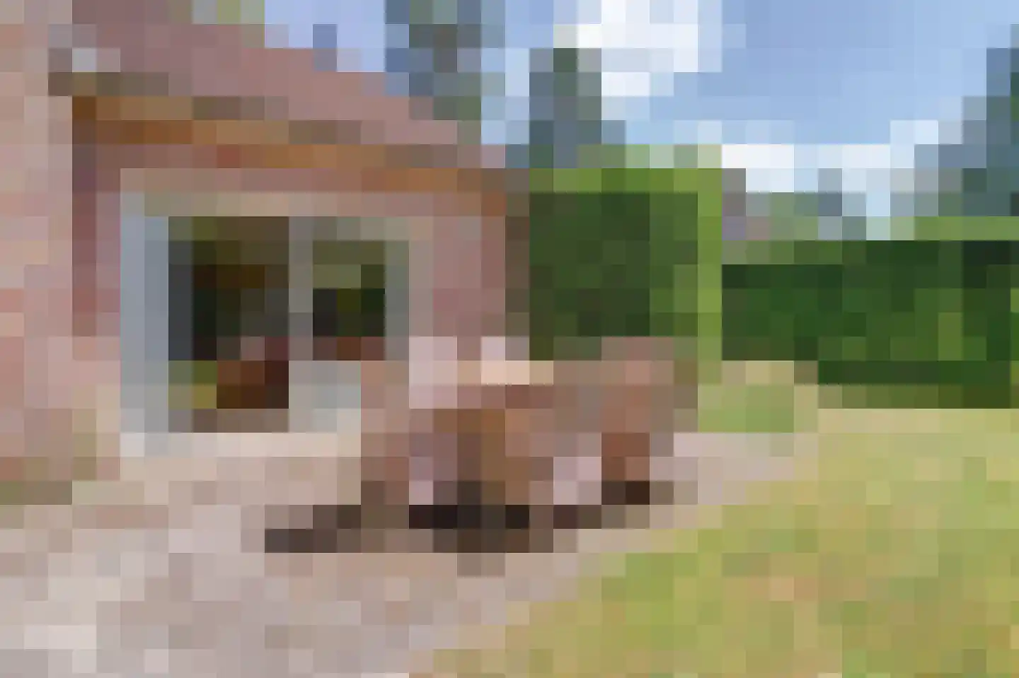 Oirschotsebaan 13 A 30 Oisterwijk thumbnail 35