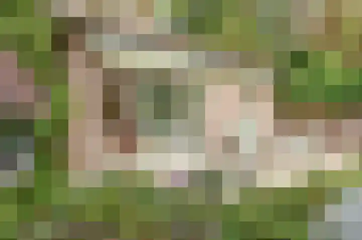 Oirschotsebaan 13 A 5 Oisterwijk thumbnail 27