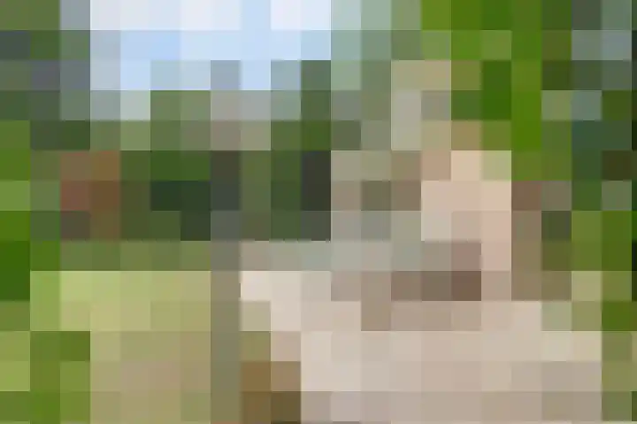 Oirschotsebaan 13 A 5 Oisterwijk thumbnail 28