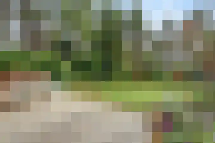 Oirschotsebaan 13 A 5 Oisterwijk thumbnail 29