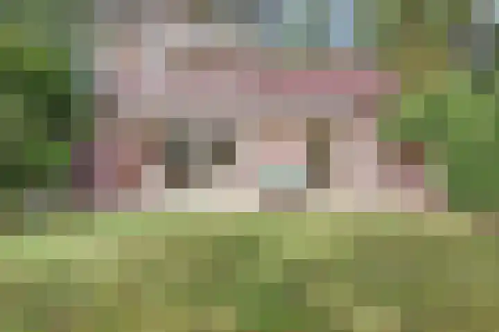 Oirschotsebaan 13 A 5 Oisterwijk thumbnail 33