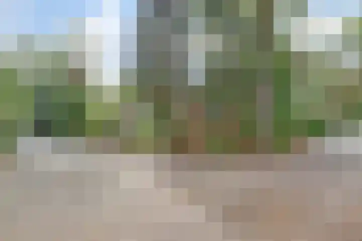 Oirschotsebaan 13 A 5 Oisterwijk thumbnail 35