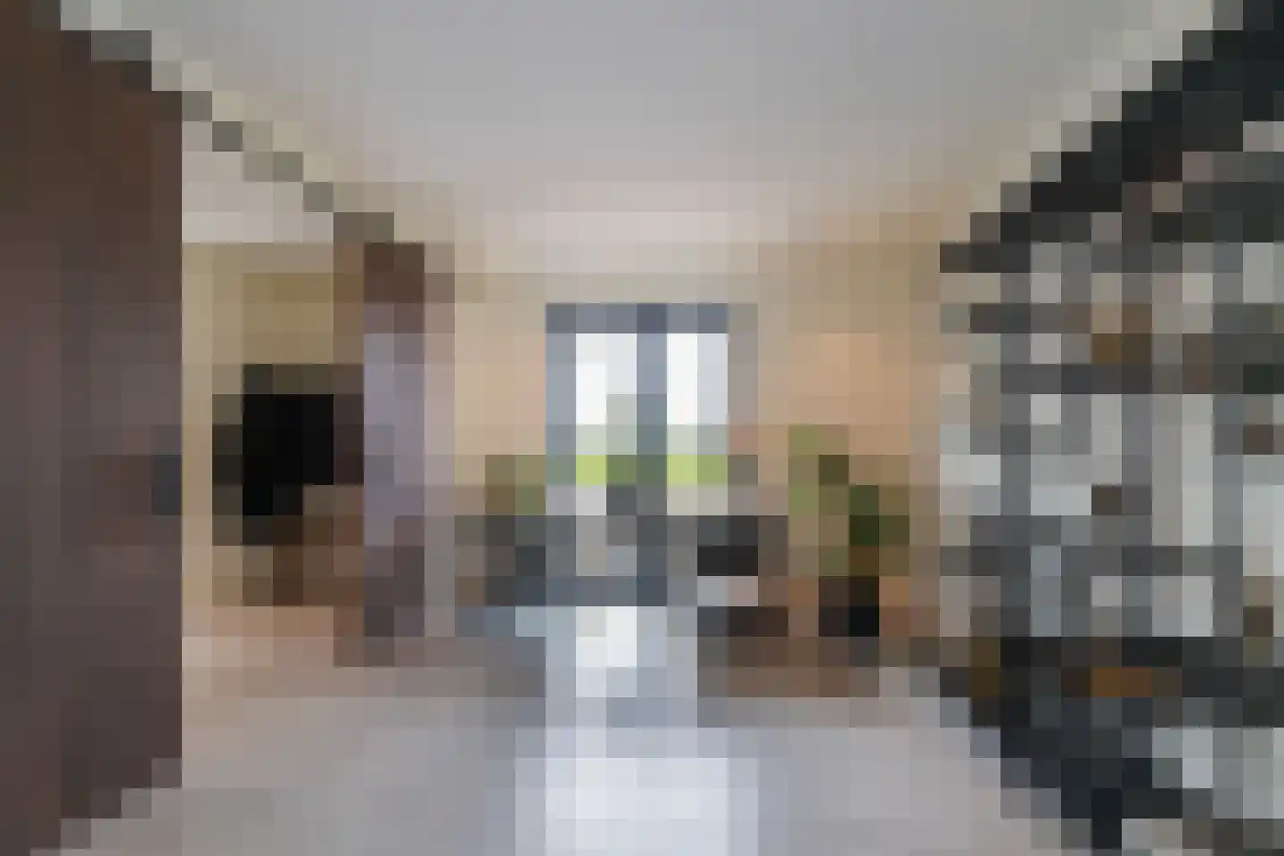 Oirschotsebaan 55 Oisterwijk thumbnail 20