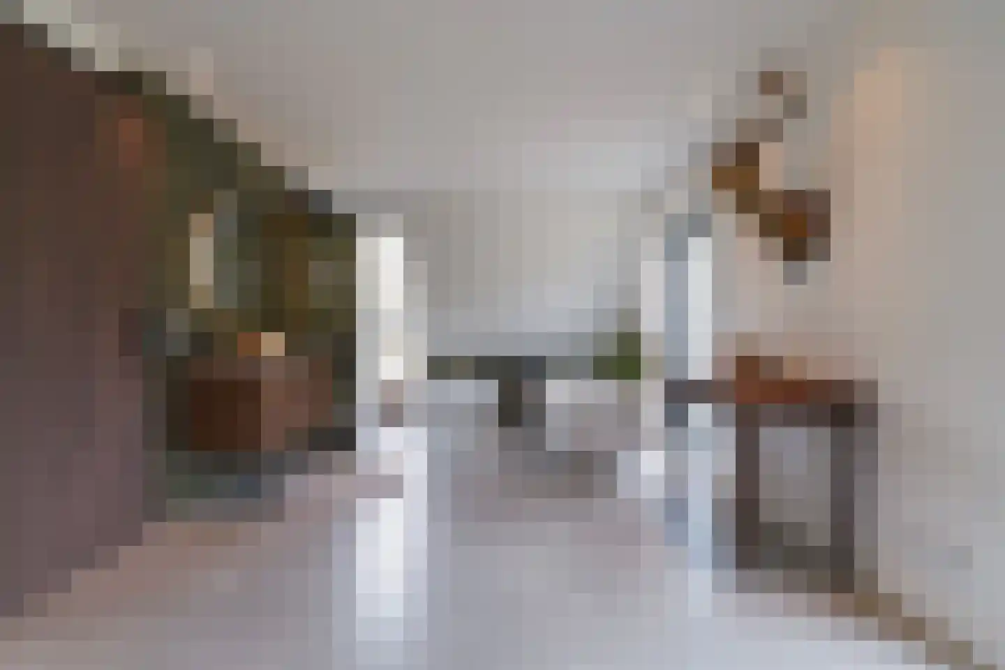 Oirschotsebaan 55 Oisterwijk thumbnail 48