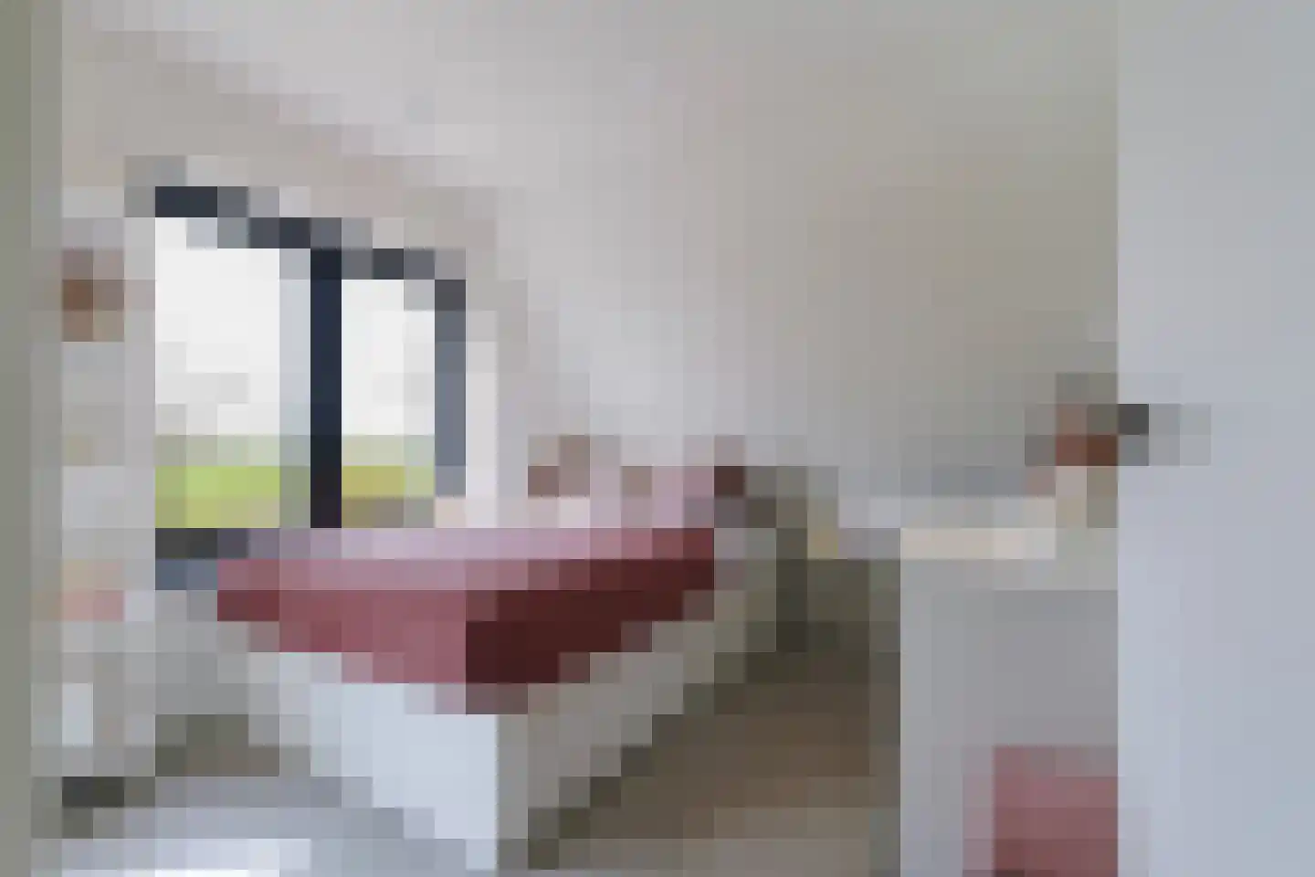 Oirschotsebaan 55 Oisterwijk thumbnail 55