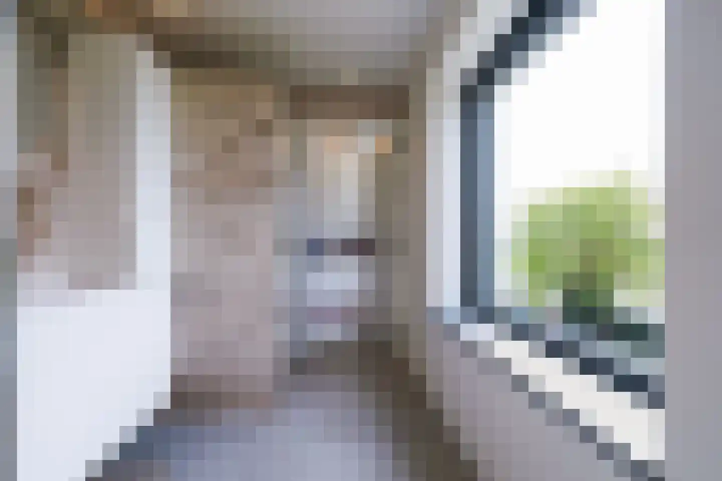 Oirschotsebaan 55 Oisterwijk thumbnail 59
