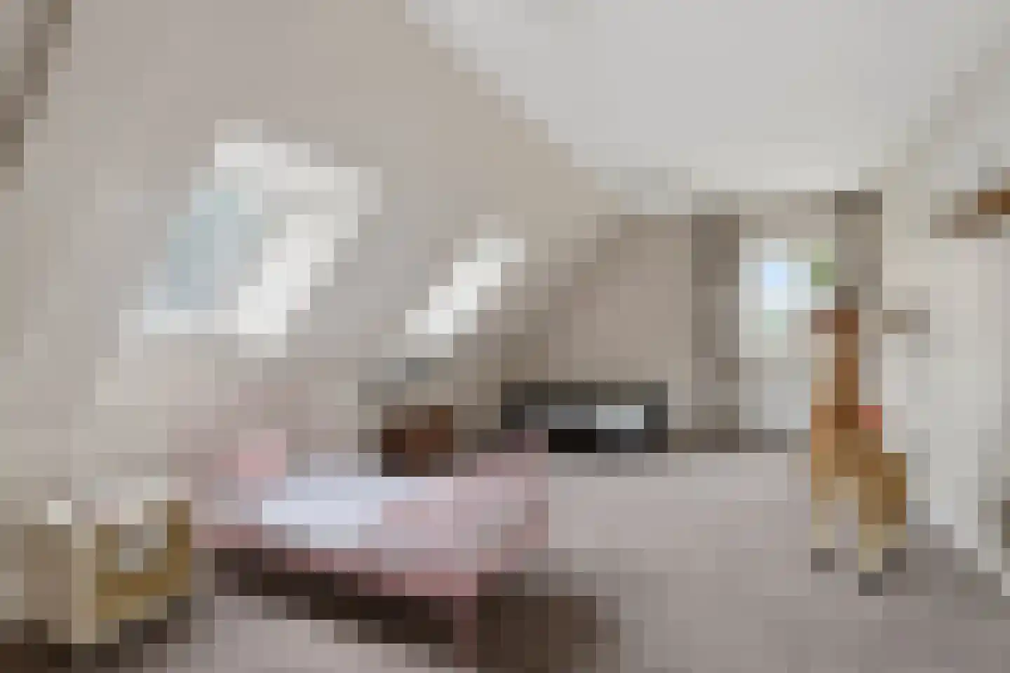 Oirschotsedijk 54 Wintelre thumbnail 33