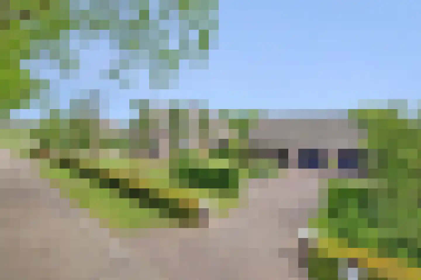 Oirschotsedijk 54 Wintelre thumbnail 66