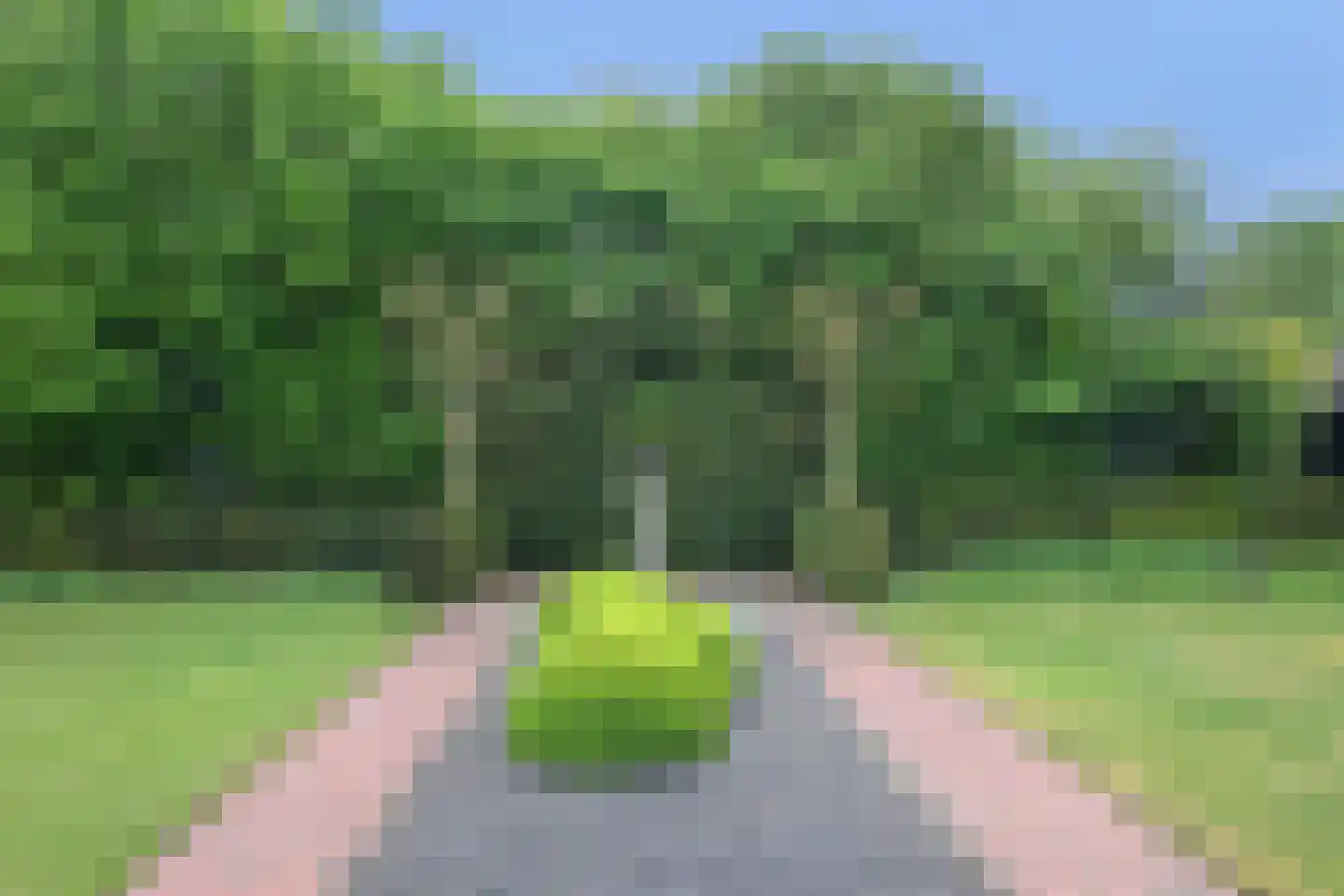 Oirschotsedijk 54 Wintelre thumbnail 69
