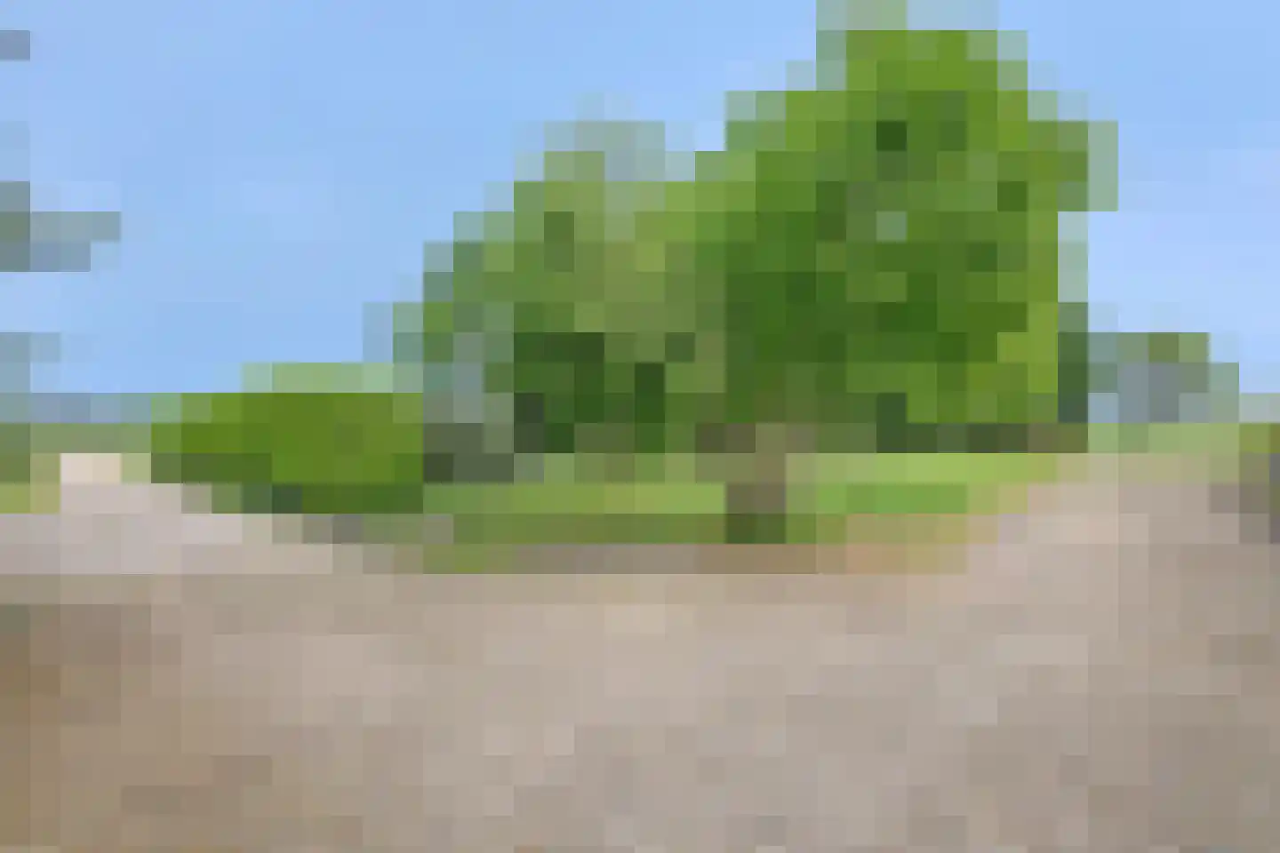 Oirschotsedijk 54 Wintelre thumbnail 71