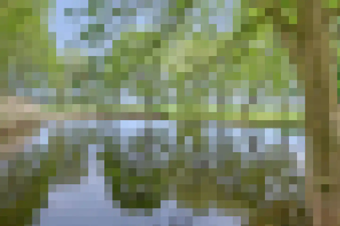 Oirschotsedijk 54 Wintelre thumbnail 78