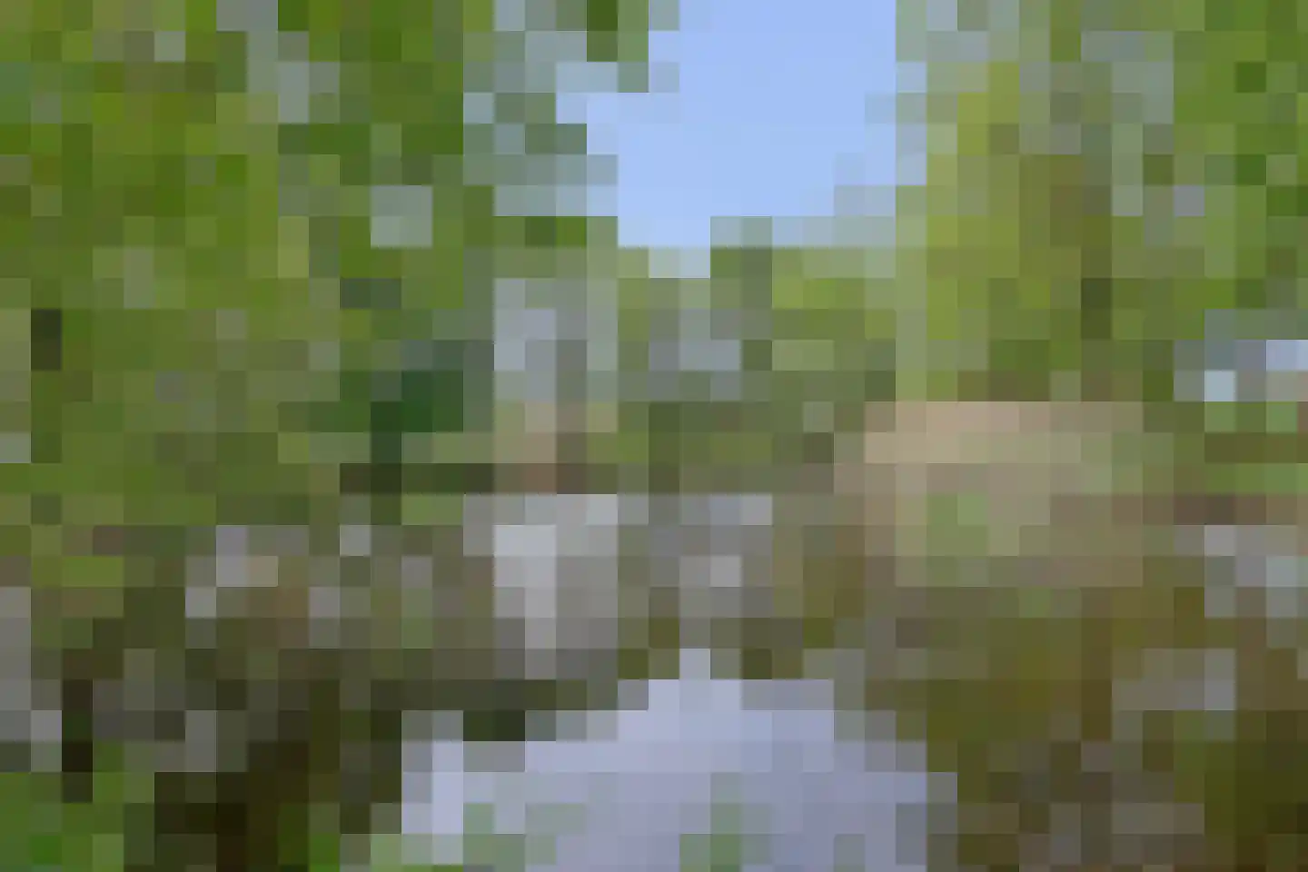 Oirschotsedijk 54 Wintelre thumbnail 79