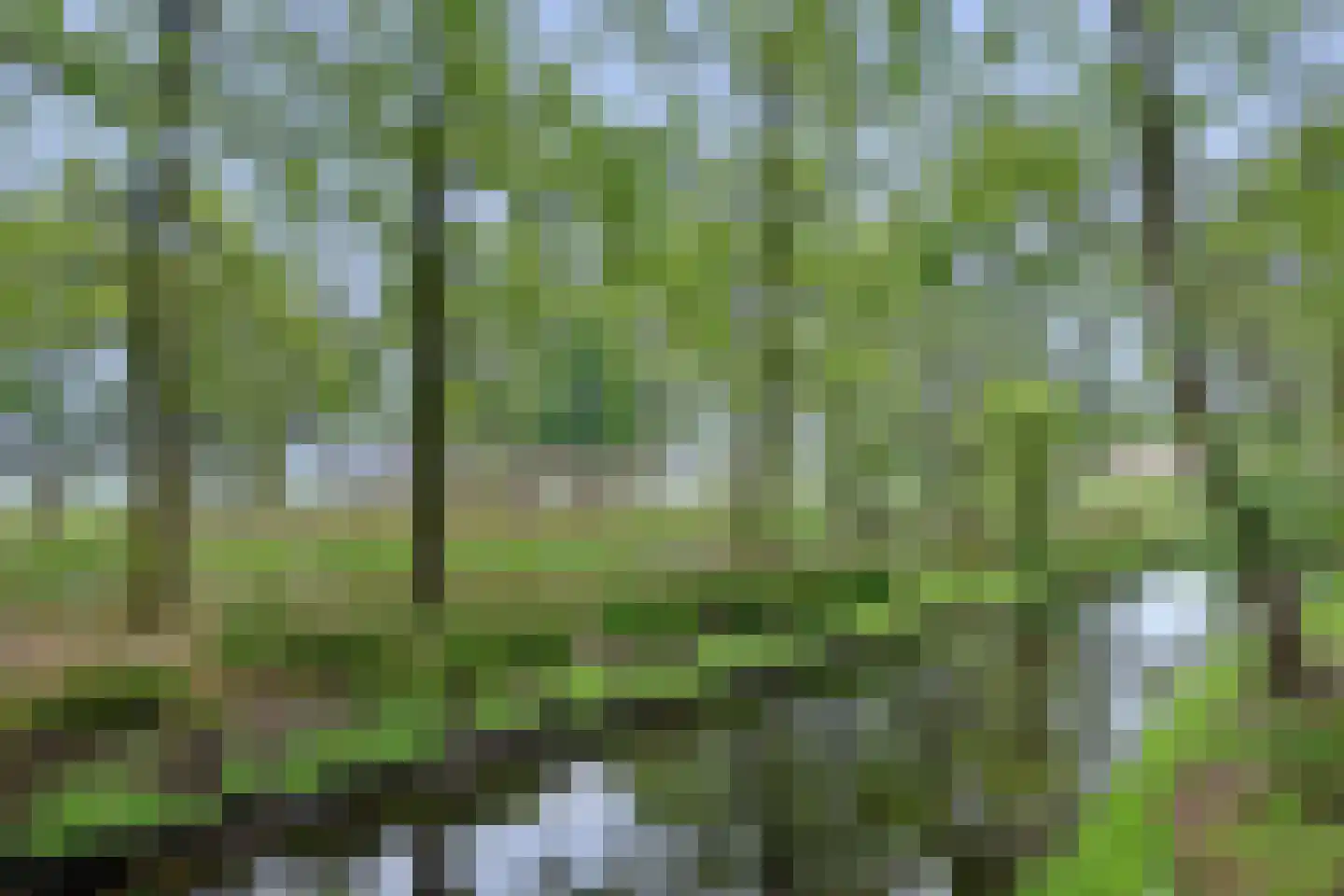 Oirschotsedijk 54 Wintelre thumbnail 80
