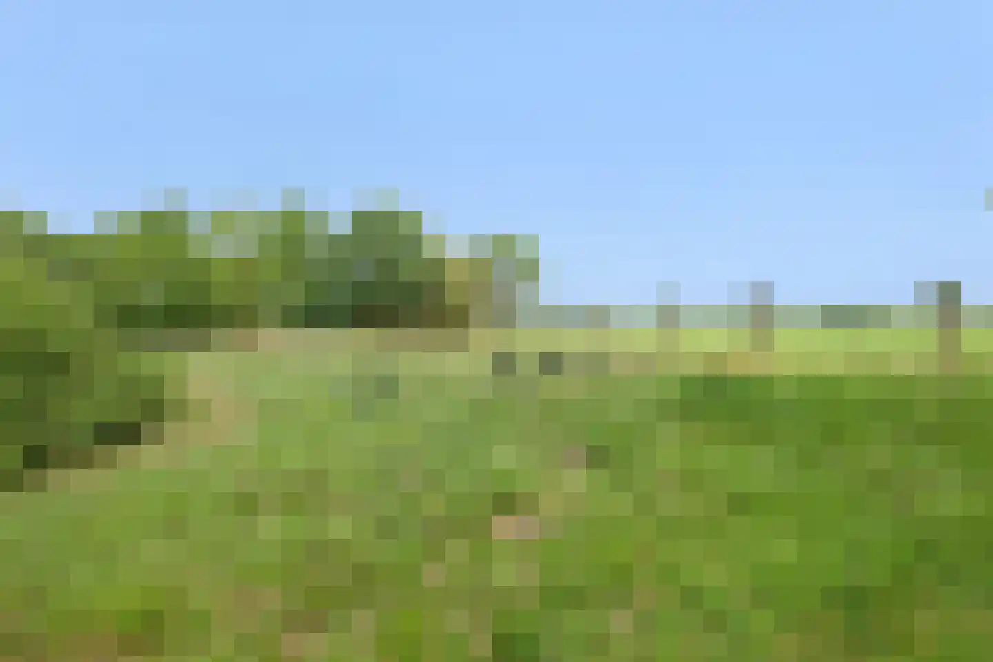 Oirschotsedijk 54 Wintelre thumbnail 81