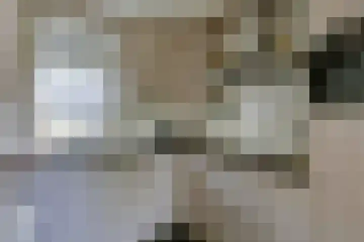 Oirschotsedijk 9001 Wintelre thumbnail 10