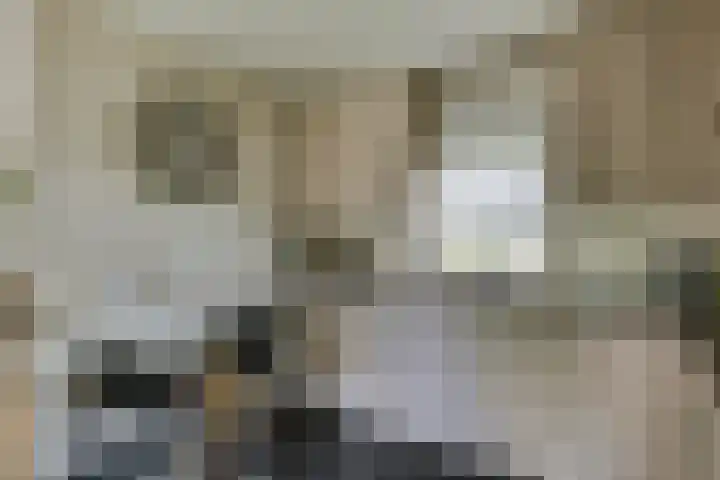 Oirschotsedijk 9001 Wintelre thumbnail 11