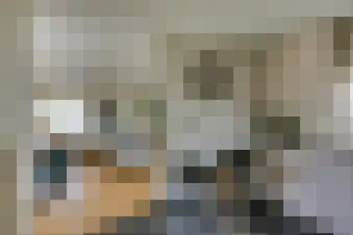 Oirschotsedijk 9001 Wintelre thumbnail 12