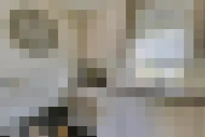 Oirschotsedijk 9001 Wintelre thumbnail 13