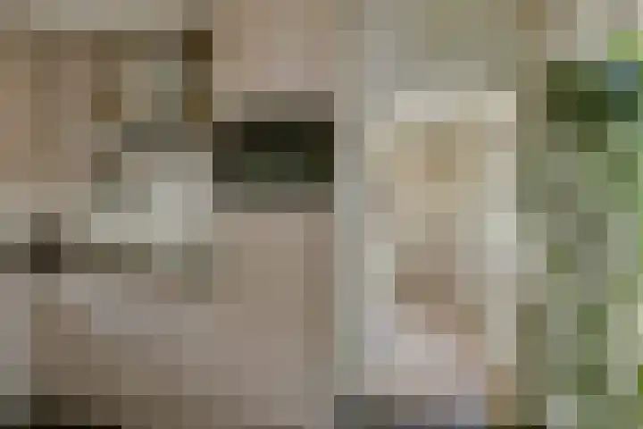 Oirschotsedijk 9001 Wintelre thumbnail 14