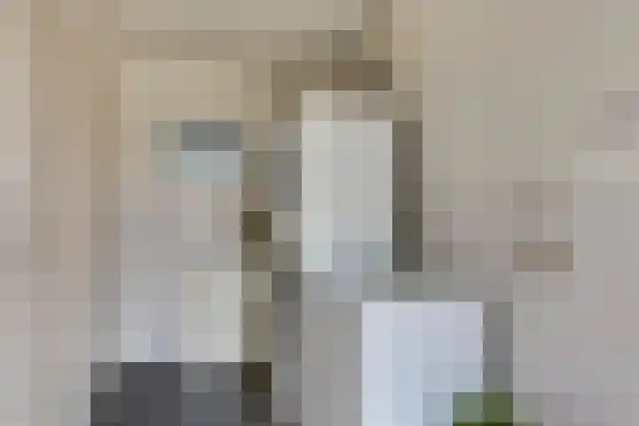 Oirschotsedijk 9001 Wintelre thumbnail 16