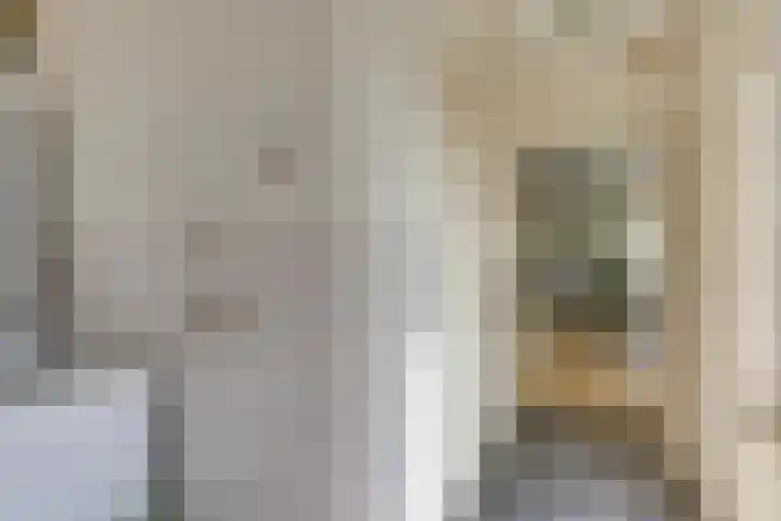 Oirschotsedijk 9001 Wintelre thumbnail 17