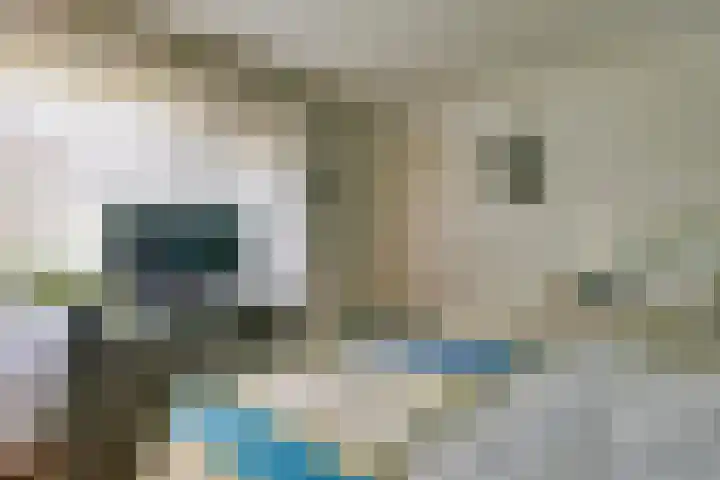 Oirschotsedijk 9001 Wintelre thumbnail 20